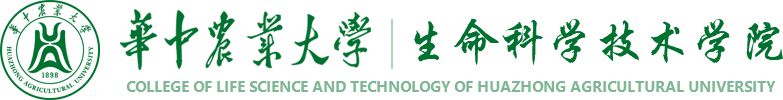 十大网赌正规信誉排名官方网